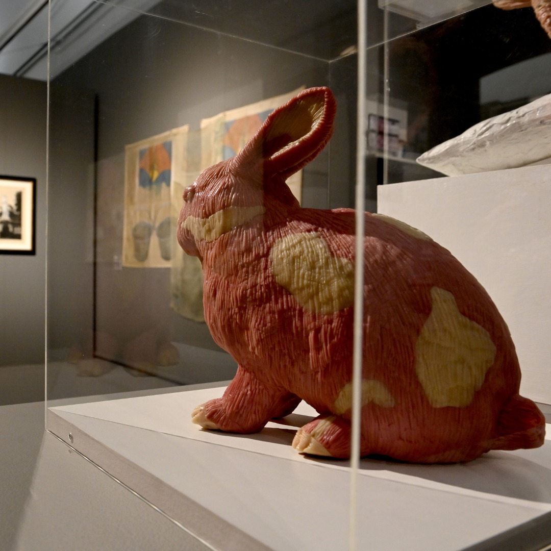 Galleria Nazionale di Cosenza Maurizio Savini Coniglio Ph Andrea Scuratti - Meraviglie di Calabria - 4