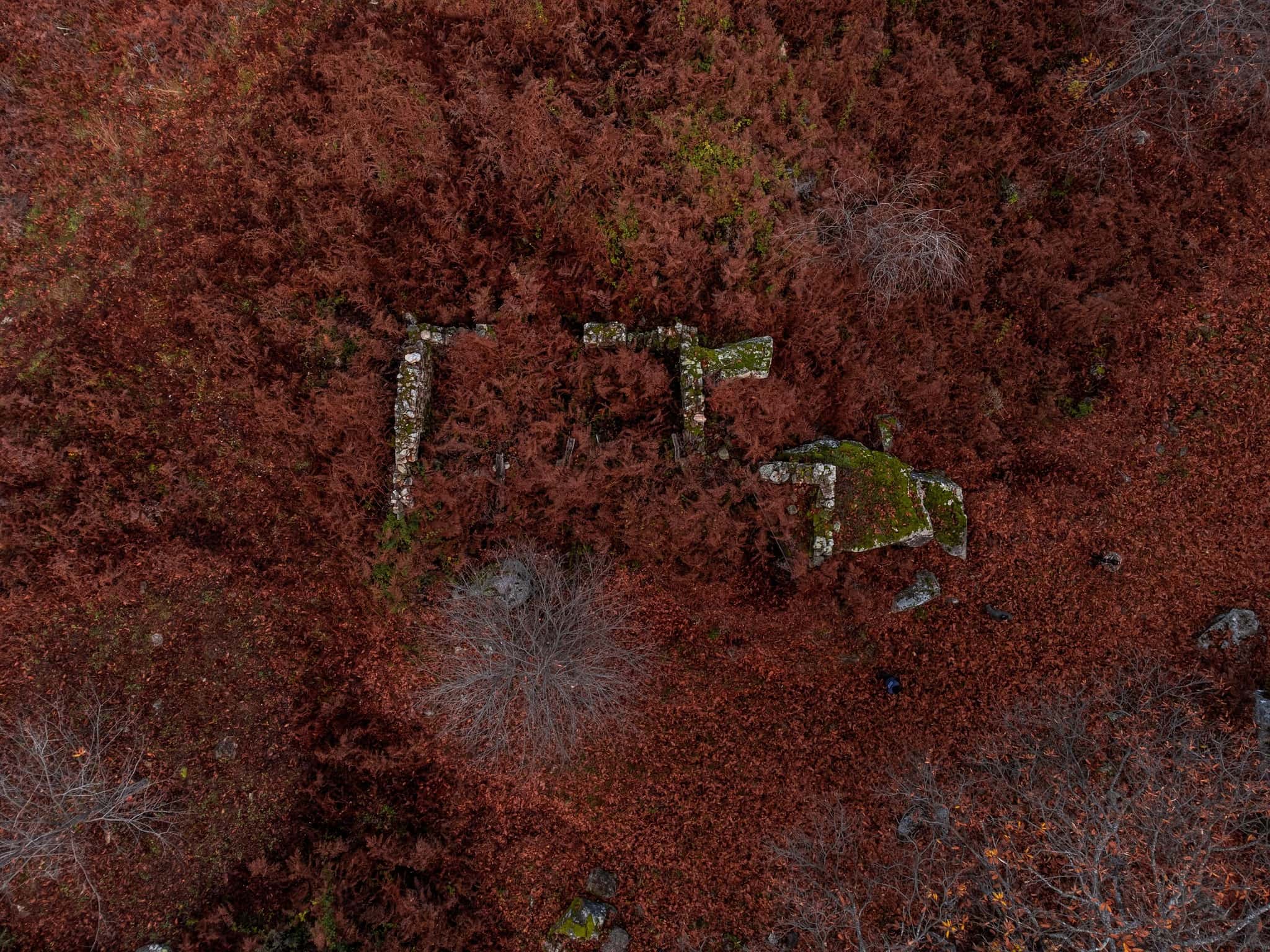 Mesoraca Riserva dei Vergari 1 - Meraviglie di Calabria - 10