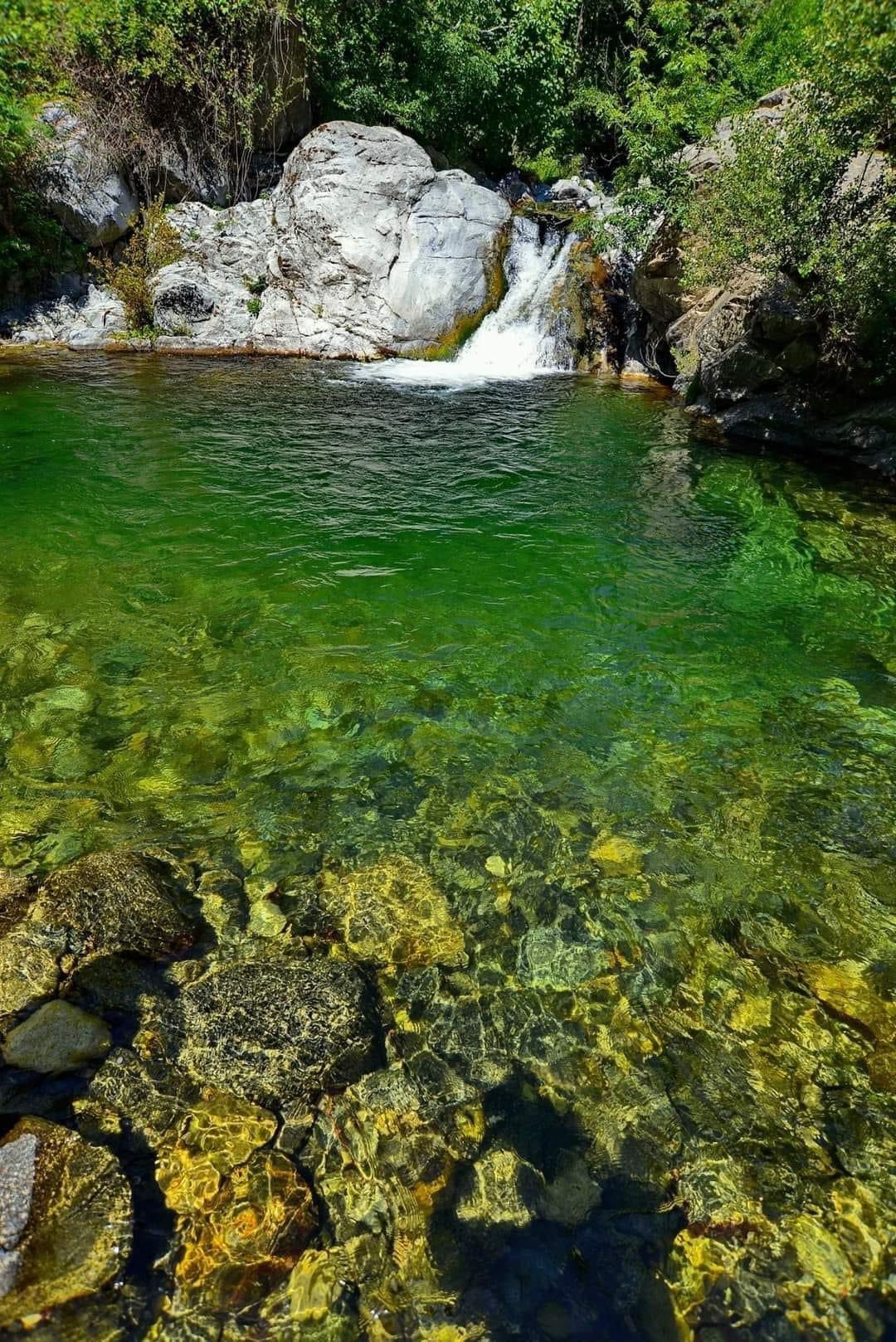 Mesoraca Riserva dei Vergari 5 - Meraviglie di Calabria - 14
