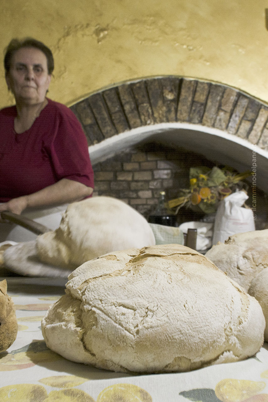Pane ph ilcamminodelpane.it 1 - Meraviglie di Calabria - 12