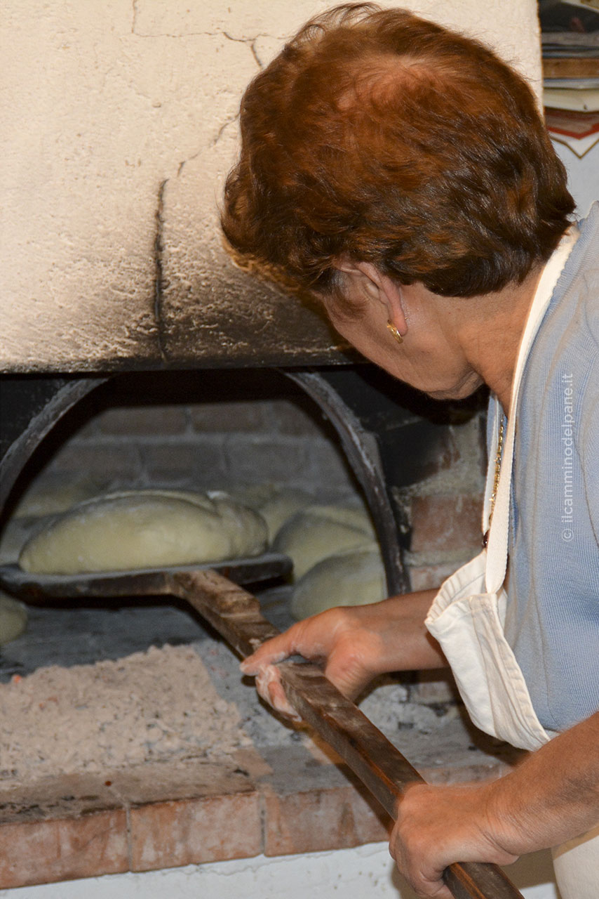 Pane ph ilcamminodelpane.it 3 - Meraviglie di Calabria - 10