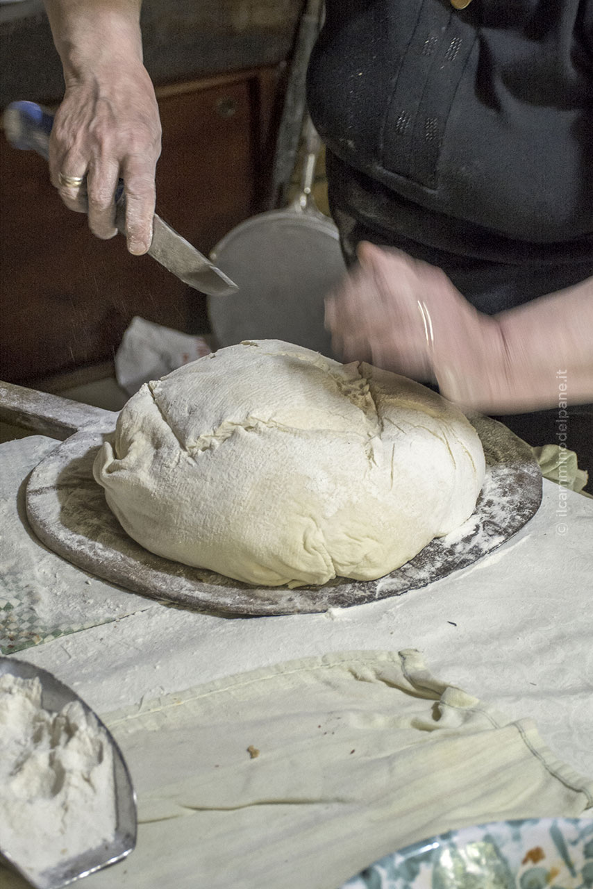 Pane ph ilcamminodelpane.it 4 - Meraviglie di Calabria - 8
