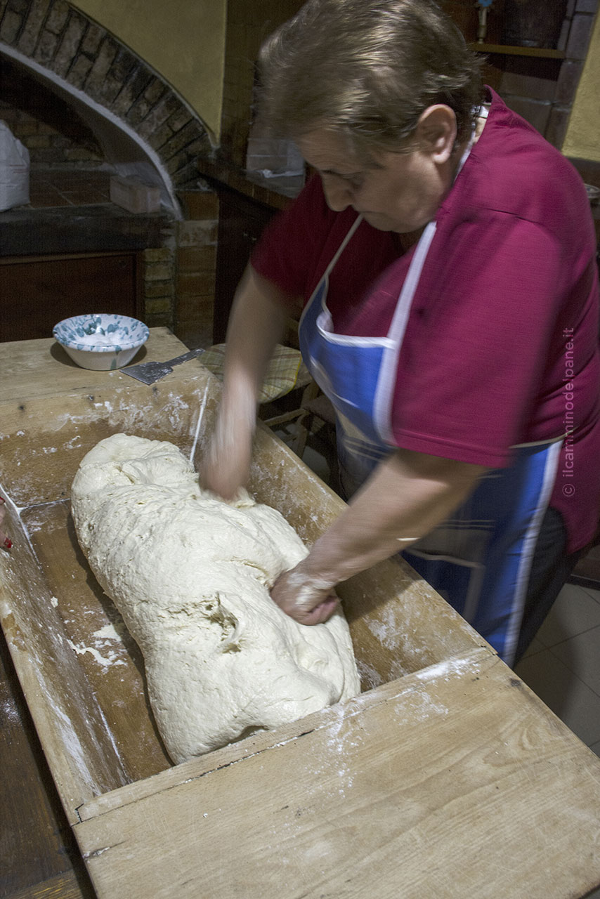 Pane ph ilcamminodelpane.it 6 - Meraviglie di Calabria - 6
