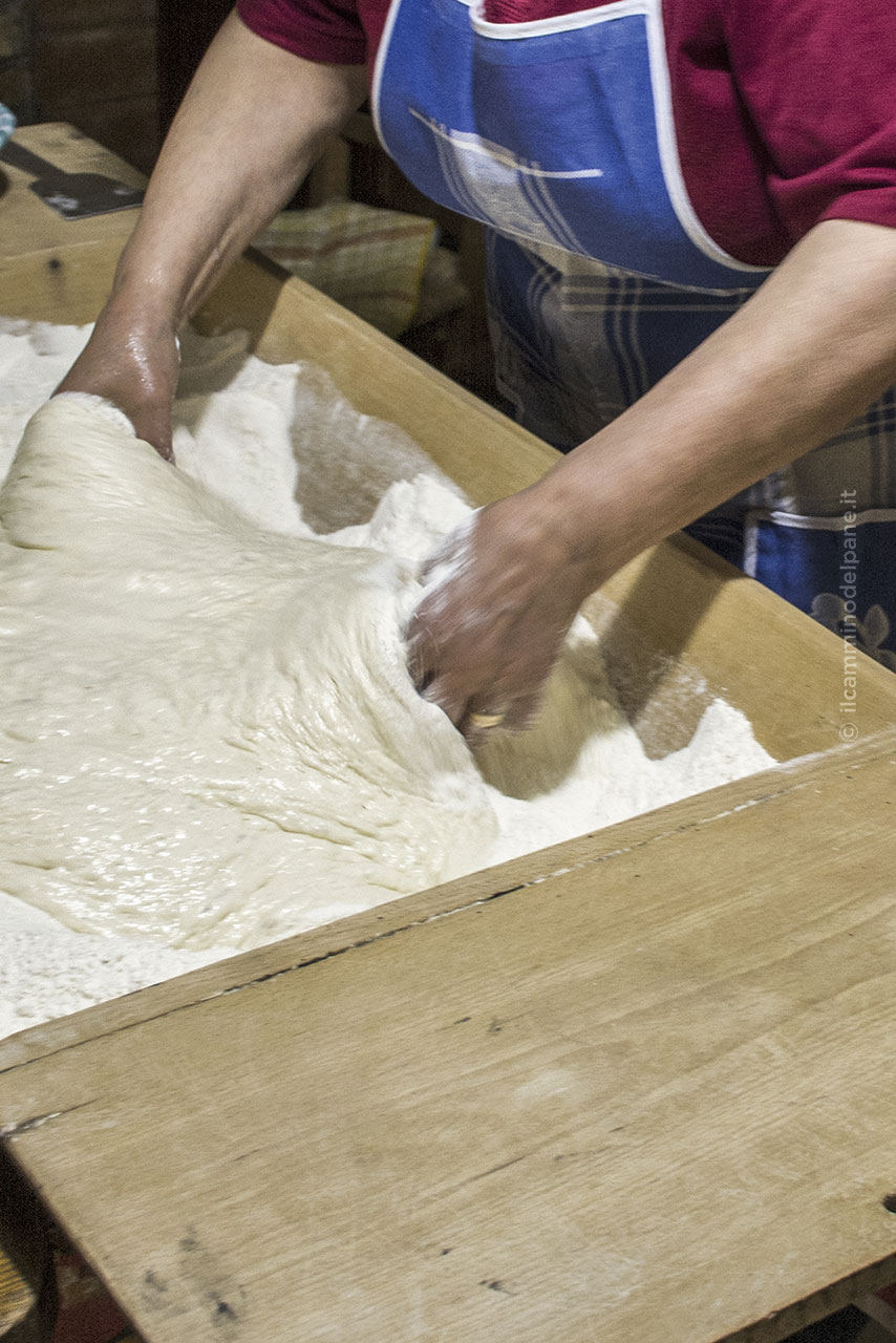 Pane ph ilcamminodelpane.it 8 - Meraviglie di Calabria - 4