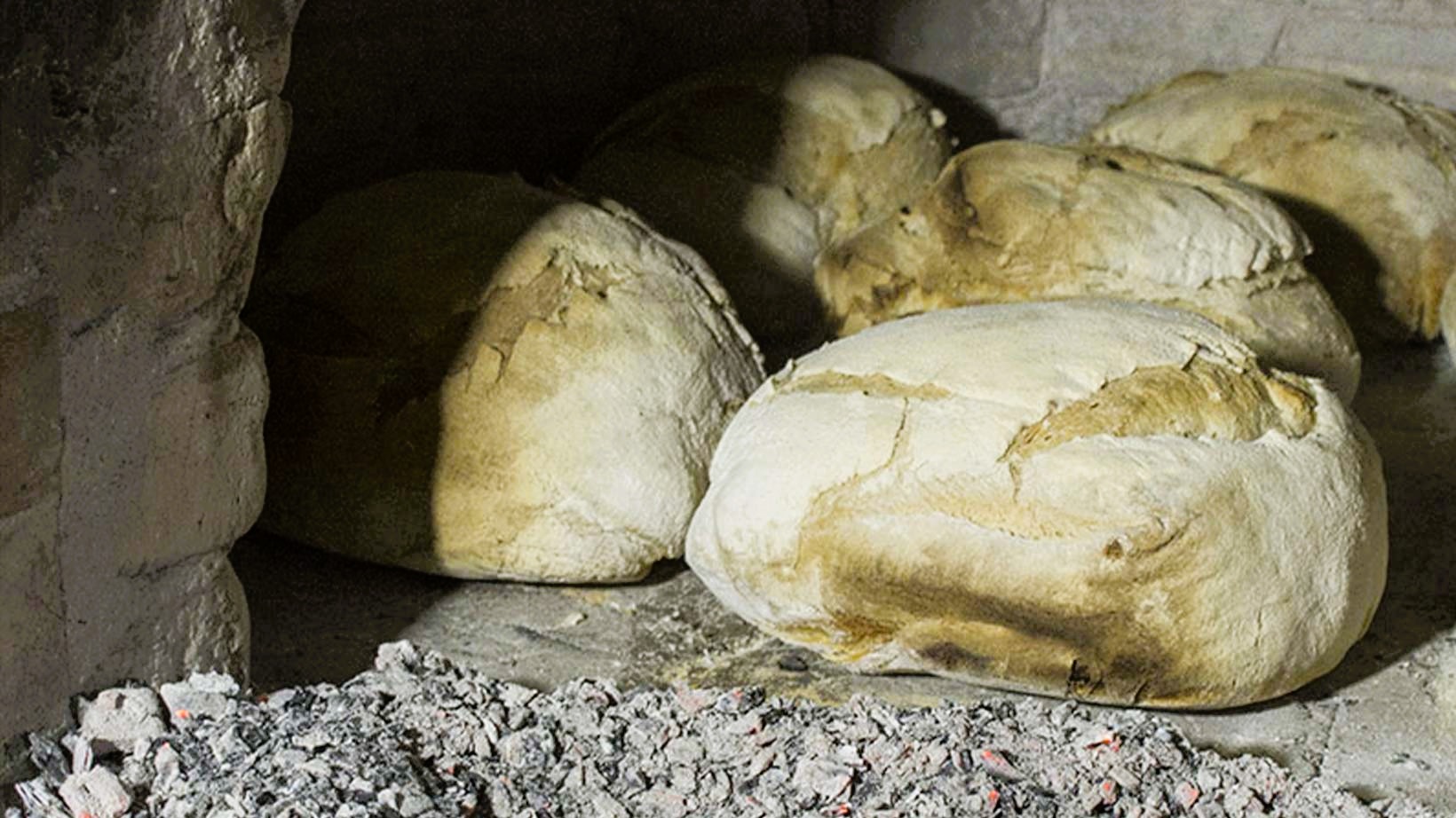 Pane ph ilcamminodelpane.it 9 - Fattorie Aperte in Sila, cento giorni nella natura (anche) con l'aiuto AI - 17 Pane ph ilcamminodelpane.it 9 - Meraviglie di Calabria - 16