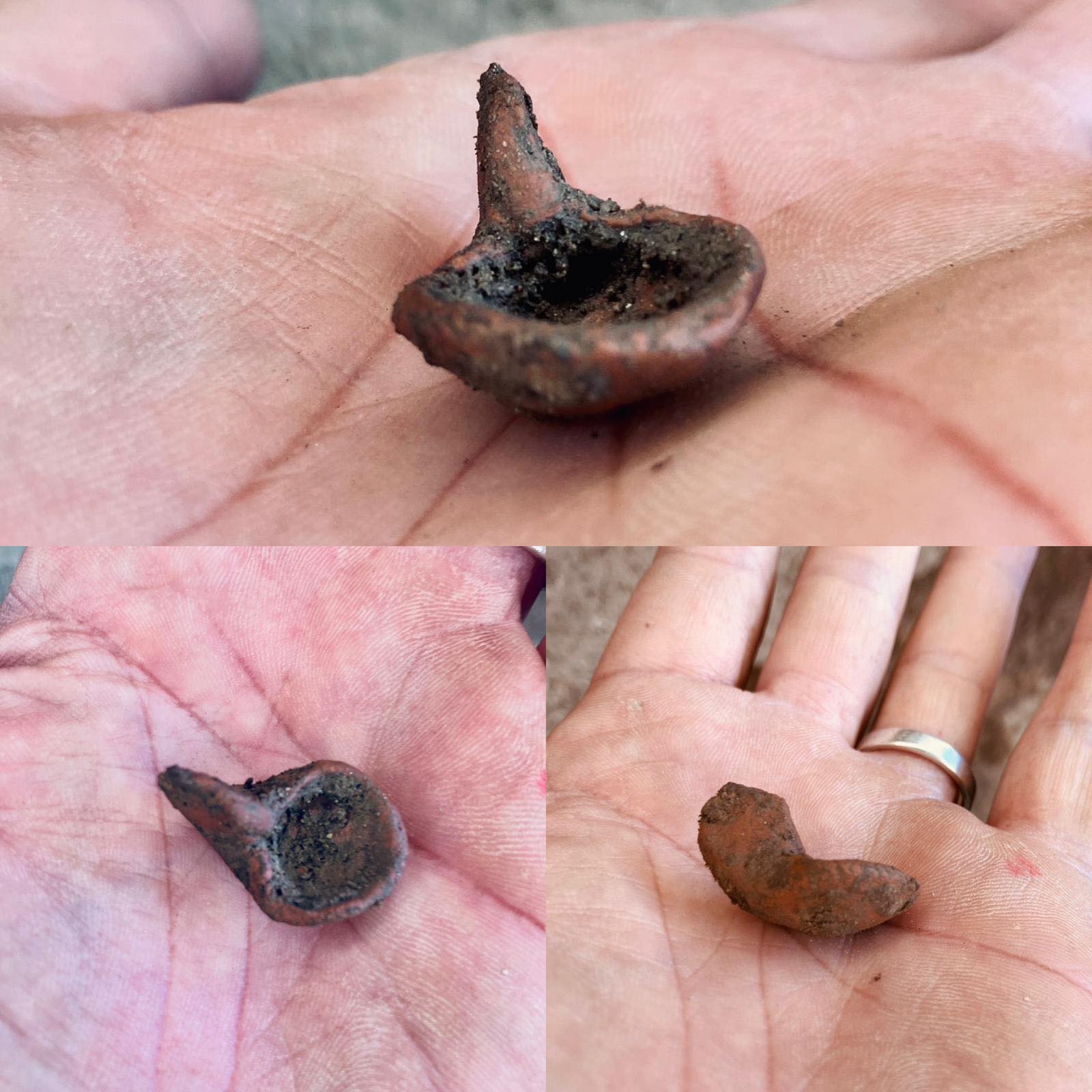 Parchi archeologici di Crotone e Sibari scavi 2025 5 - Giornate del Patrimonio tra gli scavi e i misteri di Capo Colonna e Sibari - 15 Parchi archeologici di Crotone e Sibari scavi 2025 5 - Meraviglie di Calabria - 14