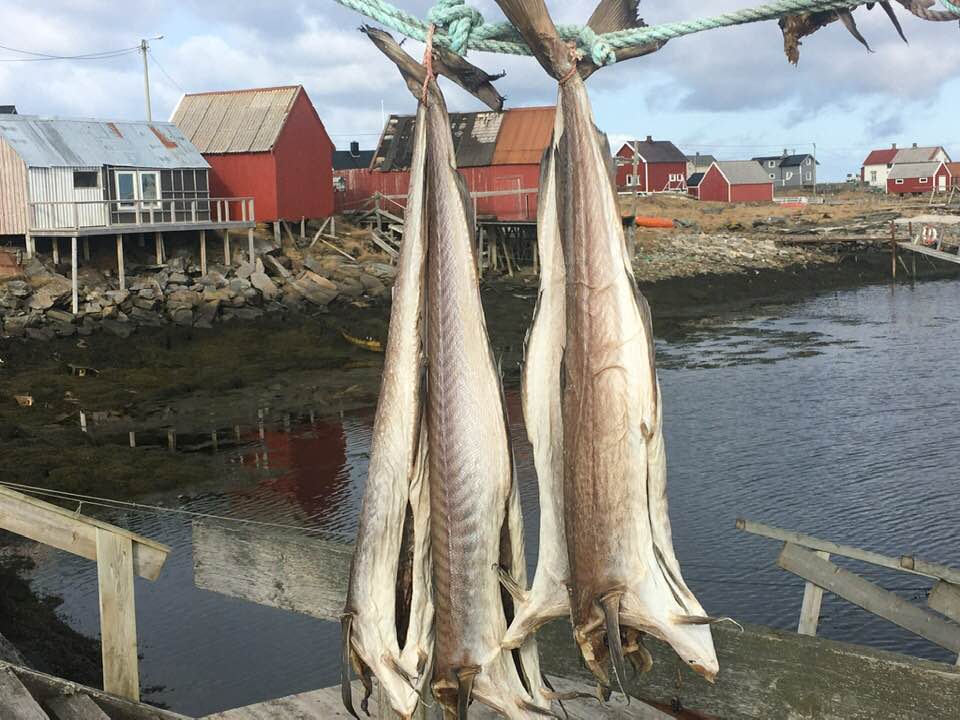 Pesce stocco ph Alagna e Spano Mammola 1 - Meraviglie di Calabria - 24