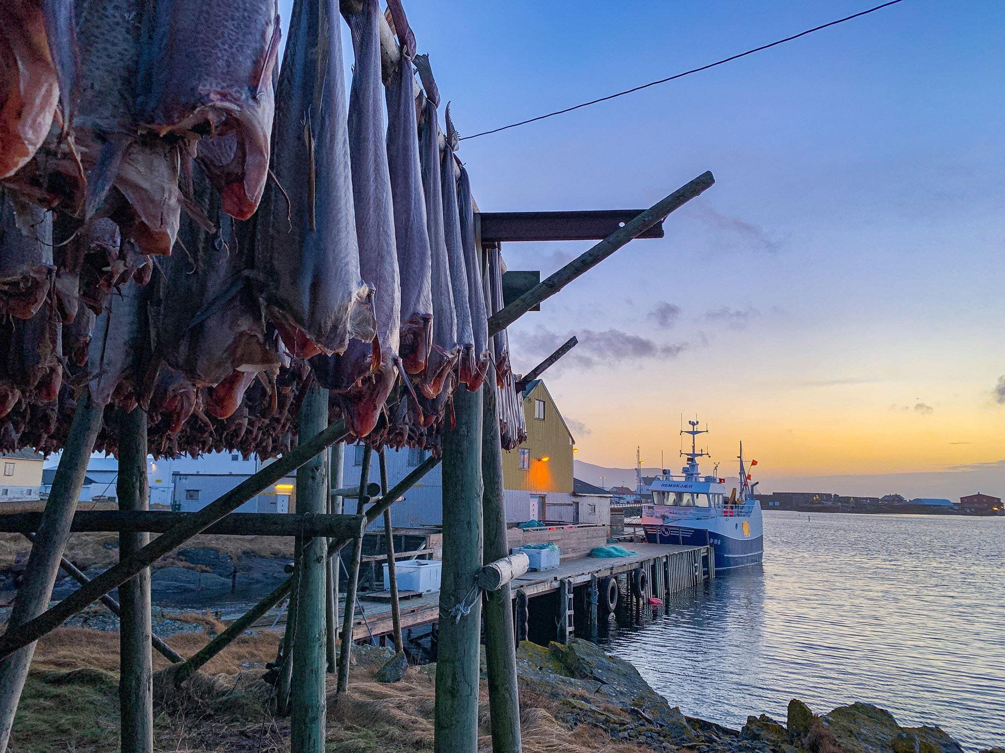 Pesce stocco ph Alagna e Spano Mammola 2 - Meraviglie di Calabria - 22