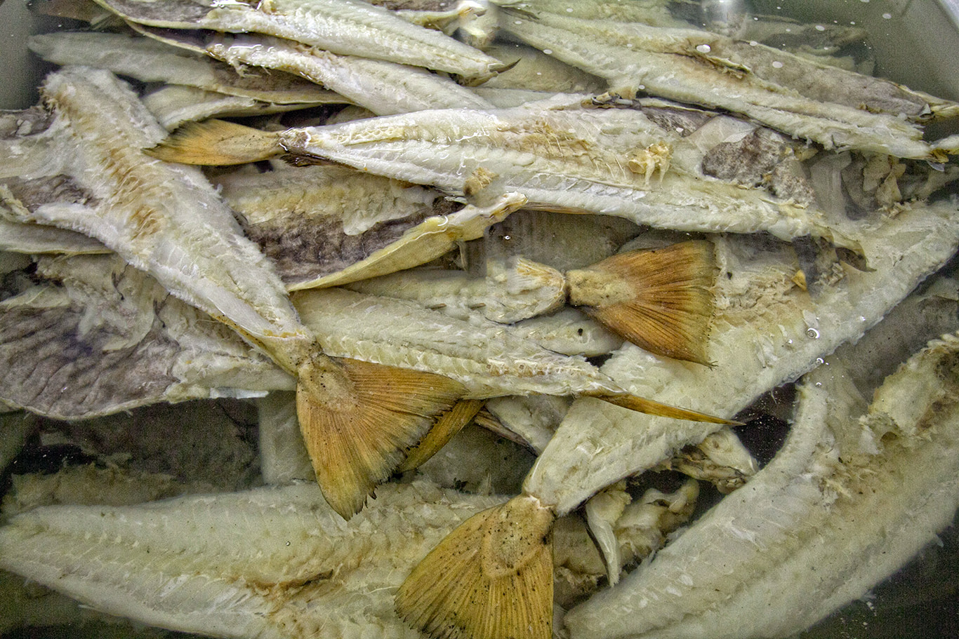 Pesce stocco ph Stocco e stocco 3 - Meraviglie di Calabria - 6