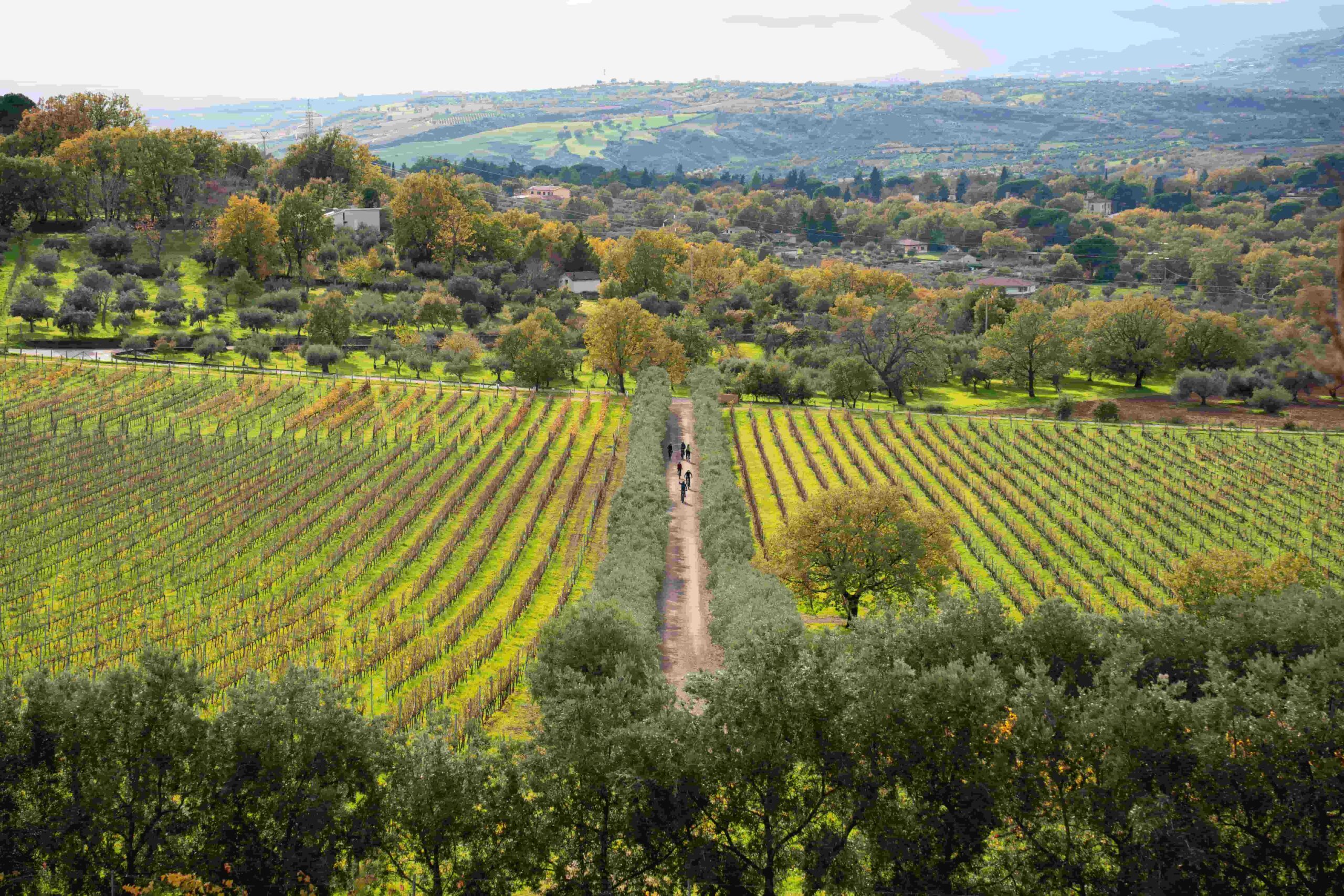 Pollino Sybaris 1 scaled - Pollino Sybaris, una rete straordinaria per il progetto di turismo lento - 15 Pollino Sybaris 1 scaled - Meraviglie di Calabria - 14