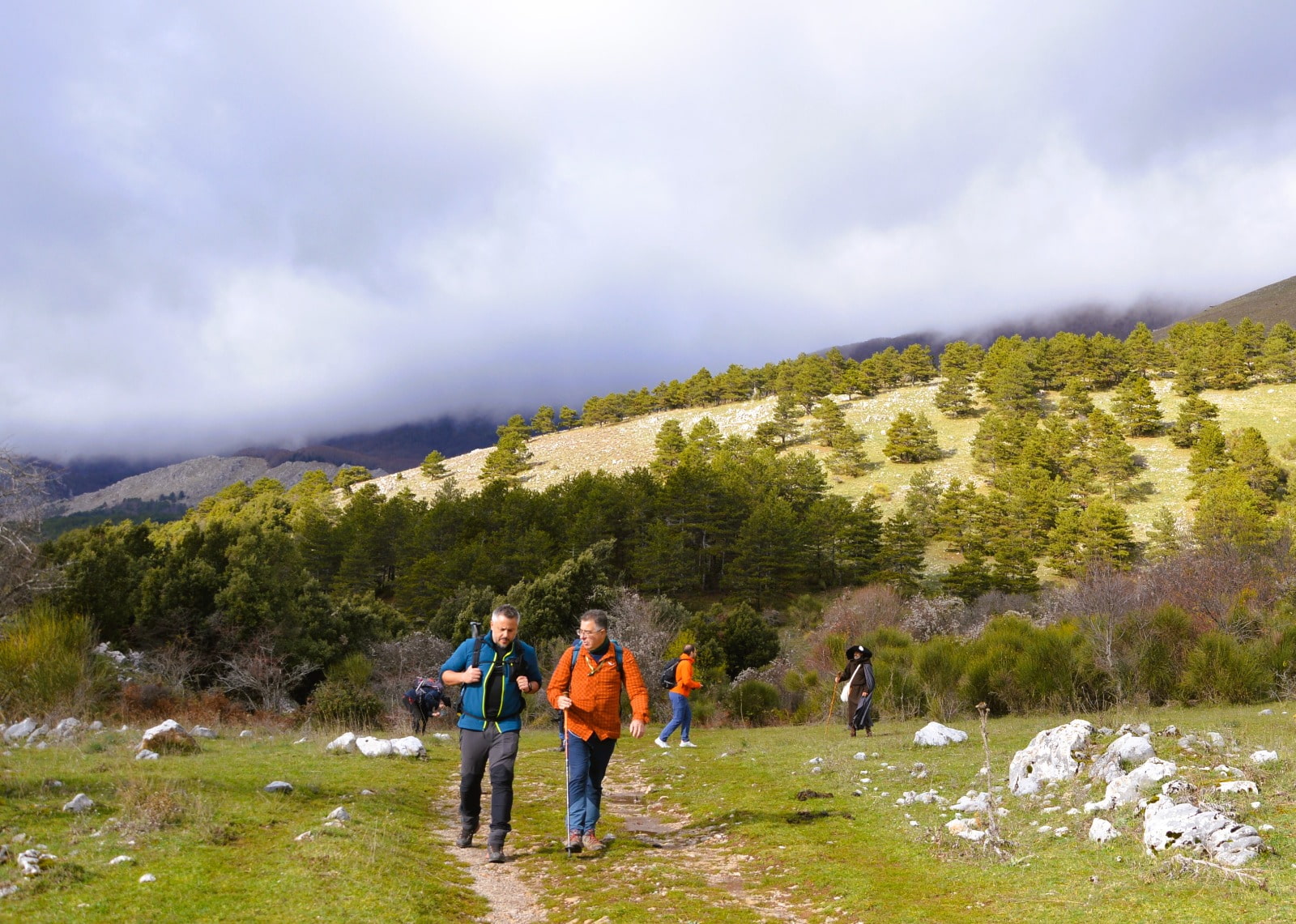 Pollino Sybaris camminatori 3 - Pollino Sybaris, una rete straordinaria per il progetto di turismo lento - 17 Pollino Sybaris camminatori 3 - Meraviglie di Calabria - 16