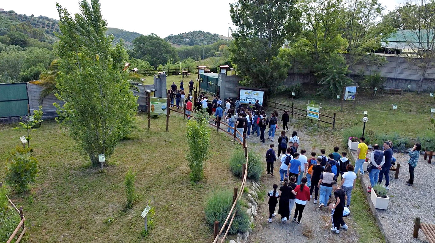 TARSIA RISERVA 231225 11 - Meraviglie di Calabria - 12