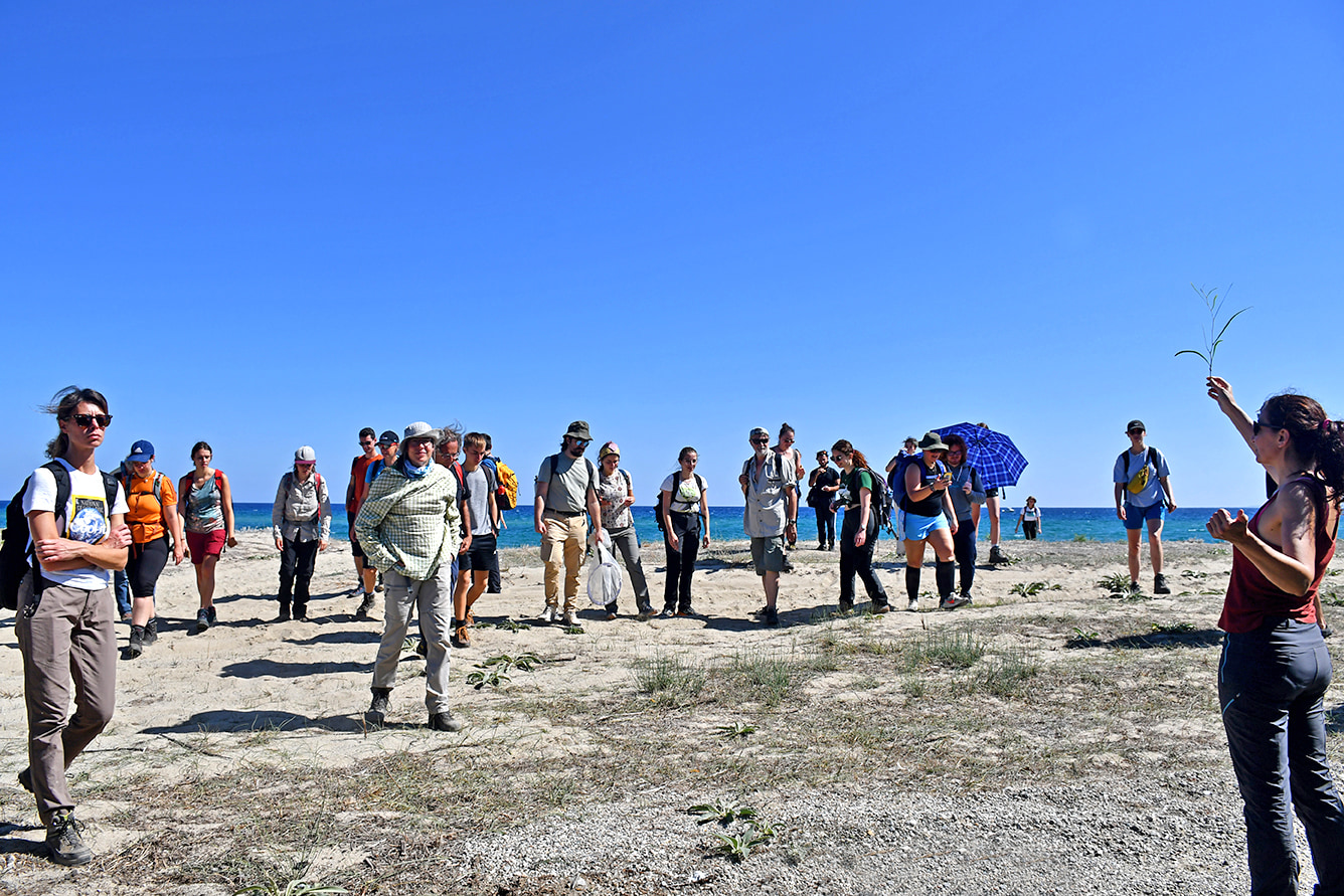 TARSIA RISERVA 231225 3 - Meraviglie di Calabria - 16