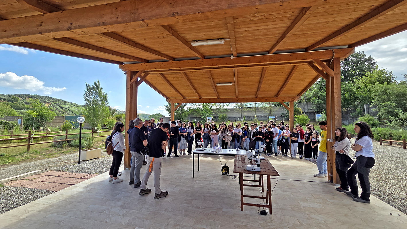 TARSIA RISERVA 231225 6 - Meraviglie di Calabria - 14