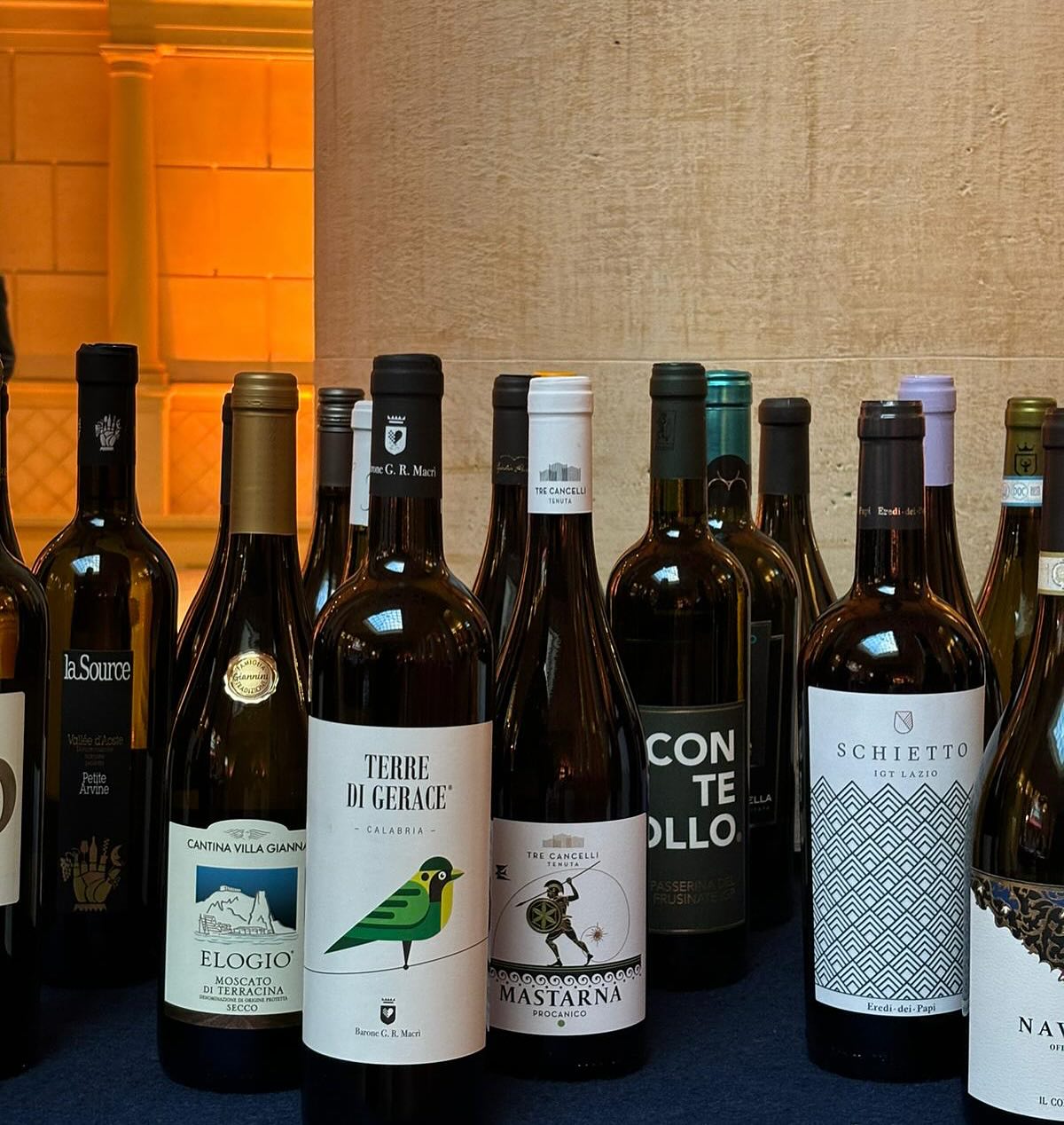 Vino Terre di Gerace premio roma vino 4 - Premio Roma Vino 2025, tra i vini al podio il Terre di Gerace Bianco - 7 Vino Terre di Gerace premio roma vino 4 - Meraviglie di Calabria - 6