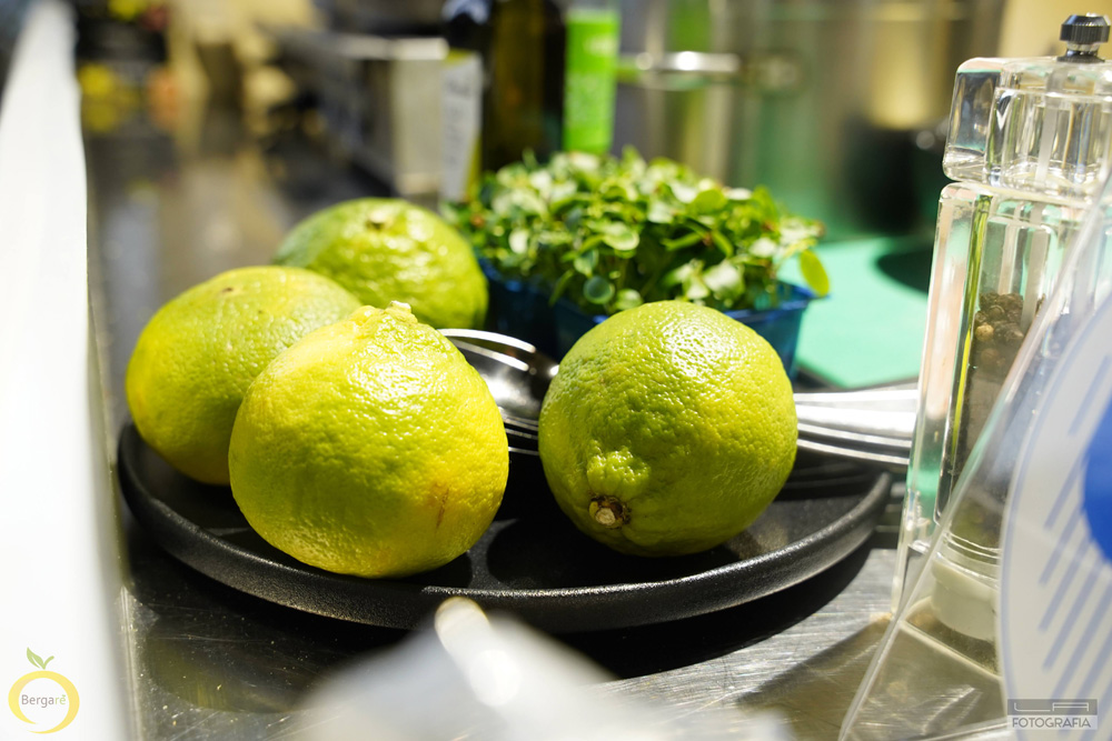 bergamotto ph Bergare - Meraviglie di Calabria - 6