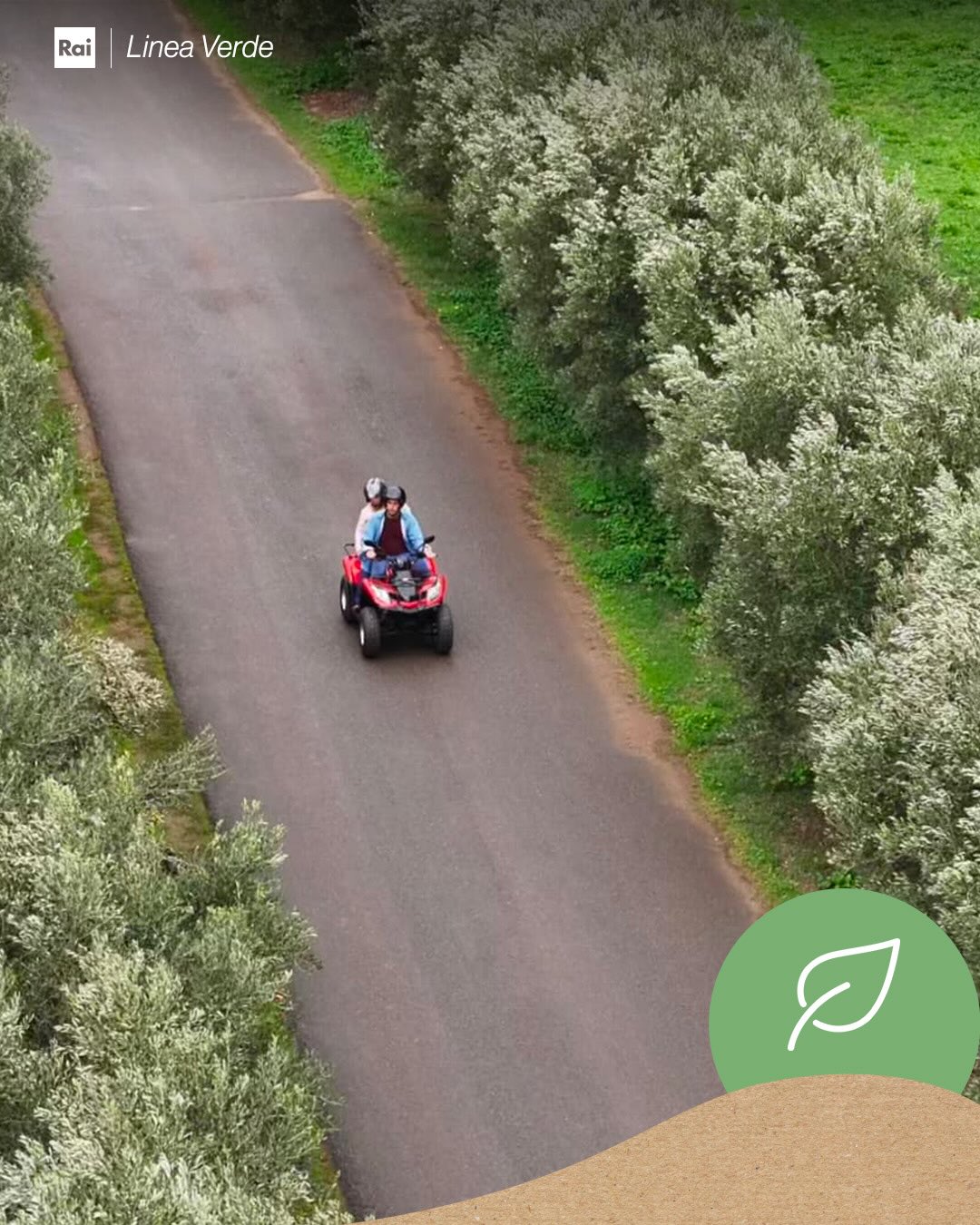 linea verde 2025 provincia catanzaro 1 - Agricoltura sul filo della restanza, la provincia di Catanzaro a Linea Verde - 7 linea verde 2025 provincia catanzaro 1 - Meraviglie di Calabria - 6