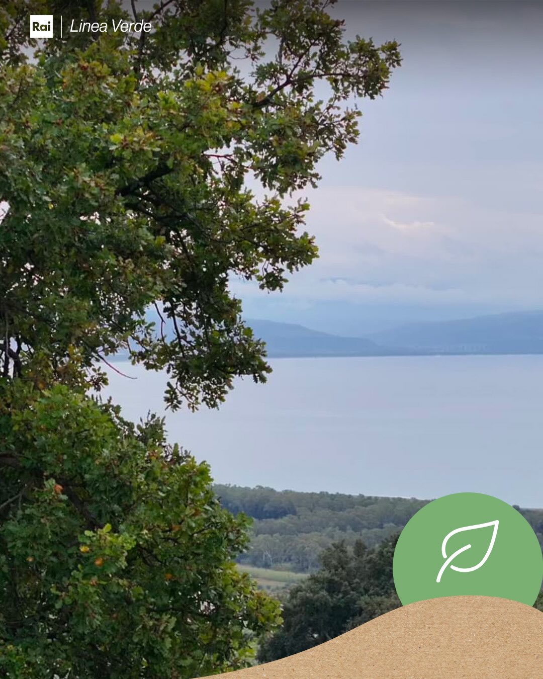 linea verde 2025 provincia catanzaro 2 - Agricoltura sul filo della restanza, la provincia di Catanzaro a Linea Verde - 9 linea verde 2025 provincia catanzaro 2 - Meraviglie di Calabria - 8