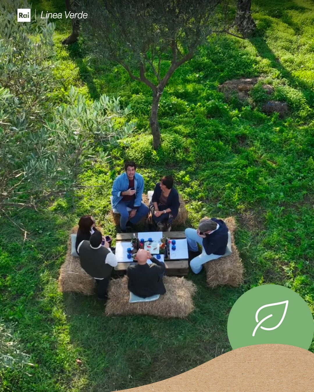 linea verde 2025 provincia catanzaro 4 - Agricoltura sul filo della restanza, la provincia di Catanzaro a Linea Verde - 3 linea verde 2025 provincia catanzaro 4 - Meraviglie di Calabria - 2