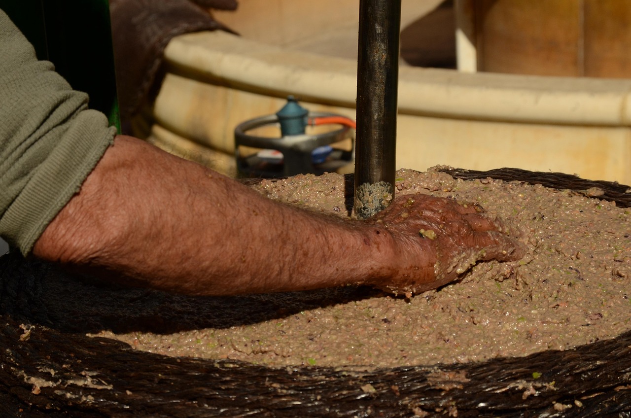 olio generico - Sol and the City Sud, a Catanzaro due giorni dedicati all’extravergine - 13 olio generico - Meraviglie di Calabria - 12