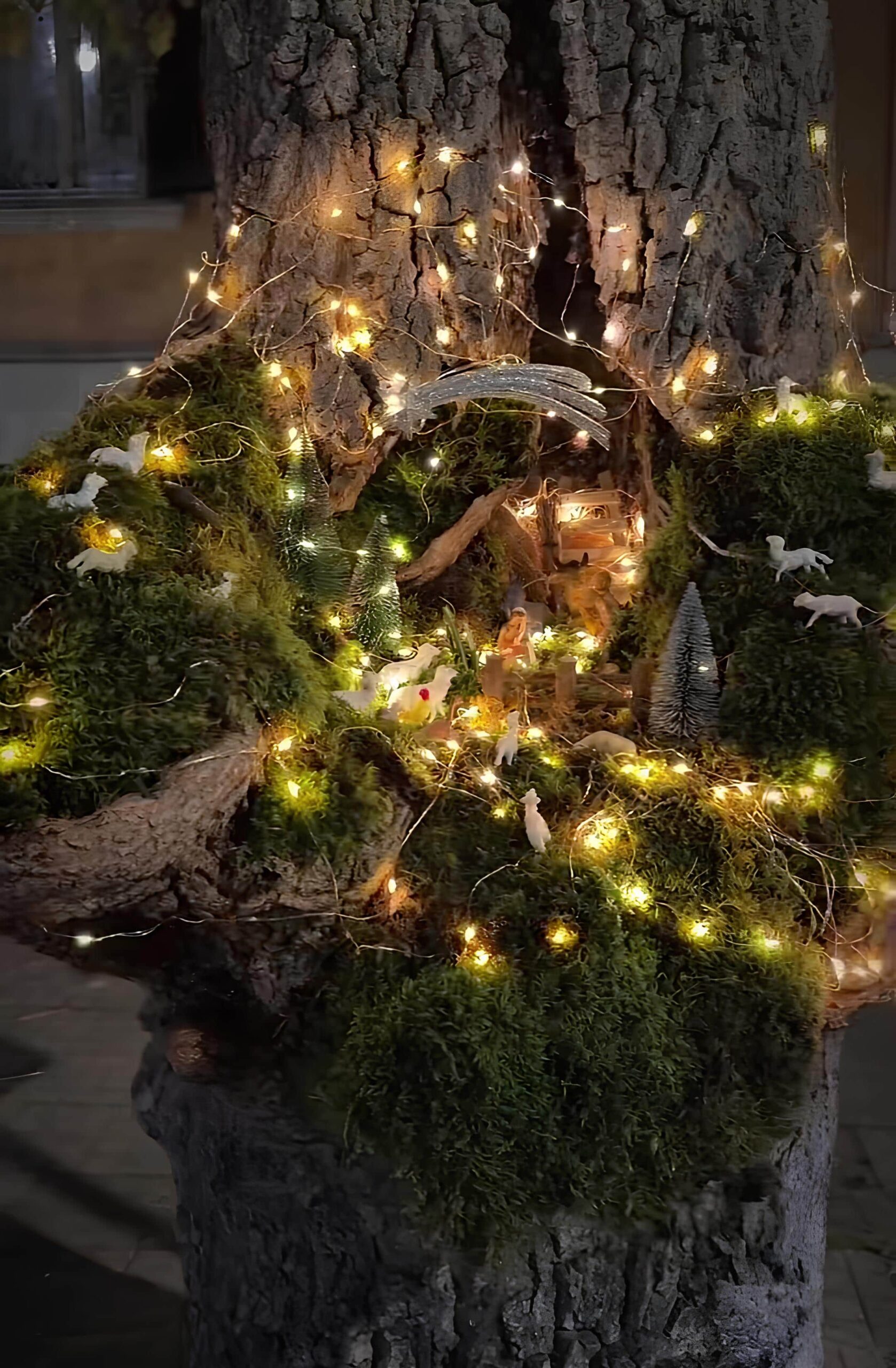 presepe nellalbero cosenza 2 scaled - Meraviglie di Calabria - 4