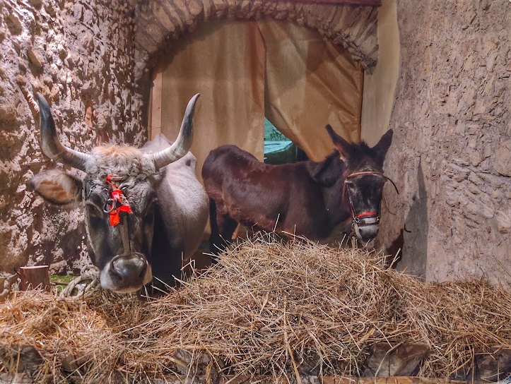 Aiello Calabro Presepe vivente 7 ph Bruno Pino - Il Presepe vivente di Aiello Calabro, storia di fede e di comunità - 15 Aiello Calabro Presepe vivente 7 ph Bruno Pino - Meraviglie di Calabria - 14