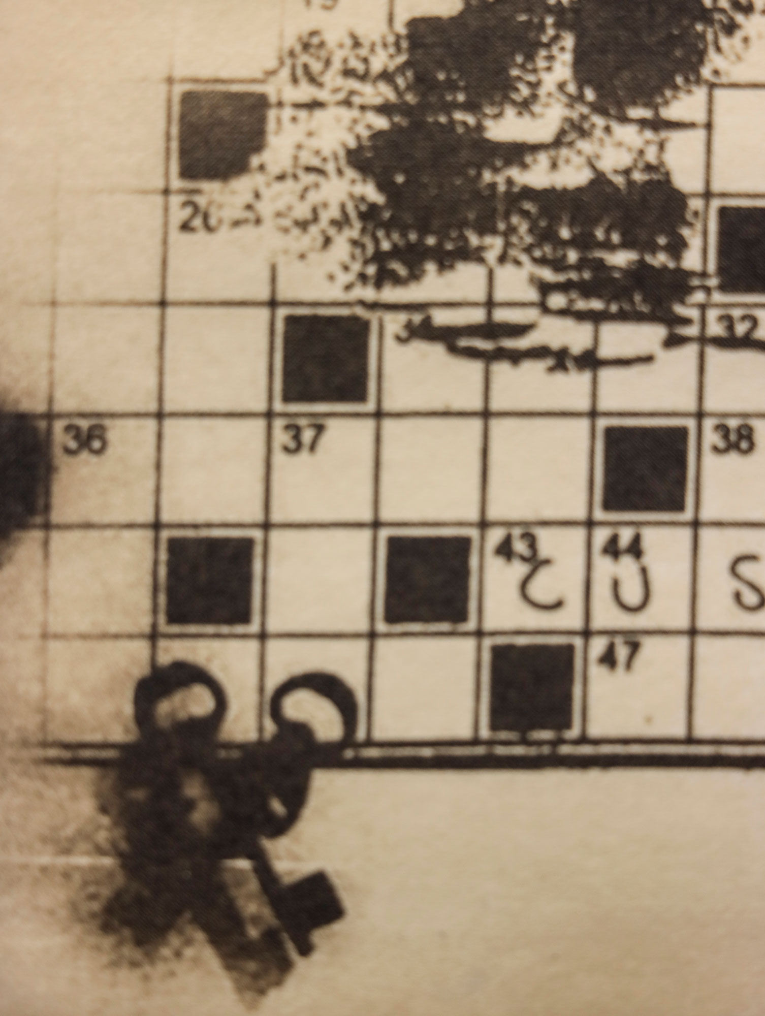 Mostra Biennale calco roma 3 - Meraviglie di Calabria - 12