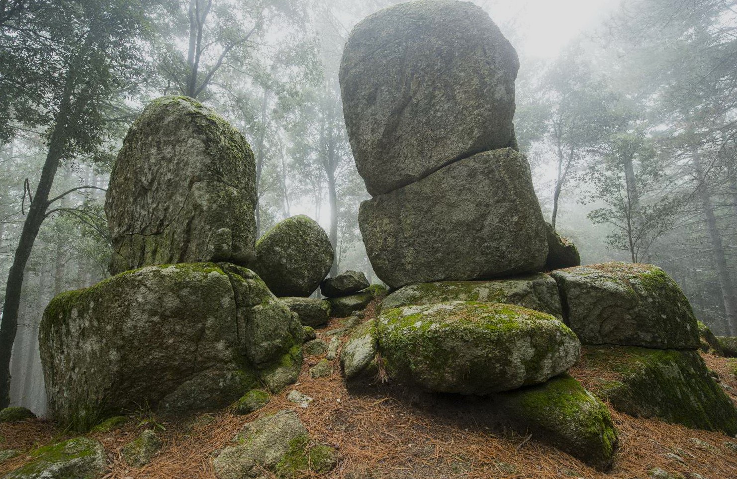 I megaliti di Nardodipace nel Parco delle Serre