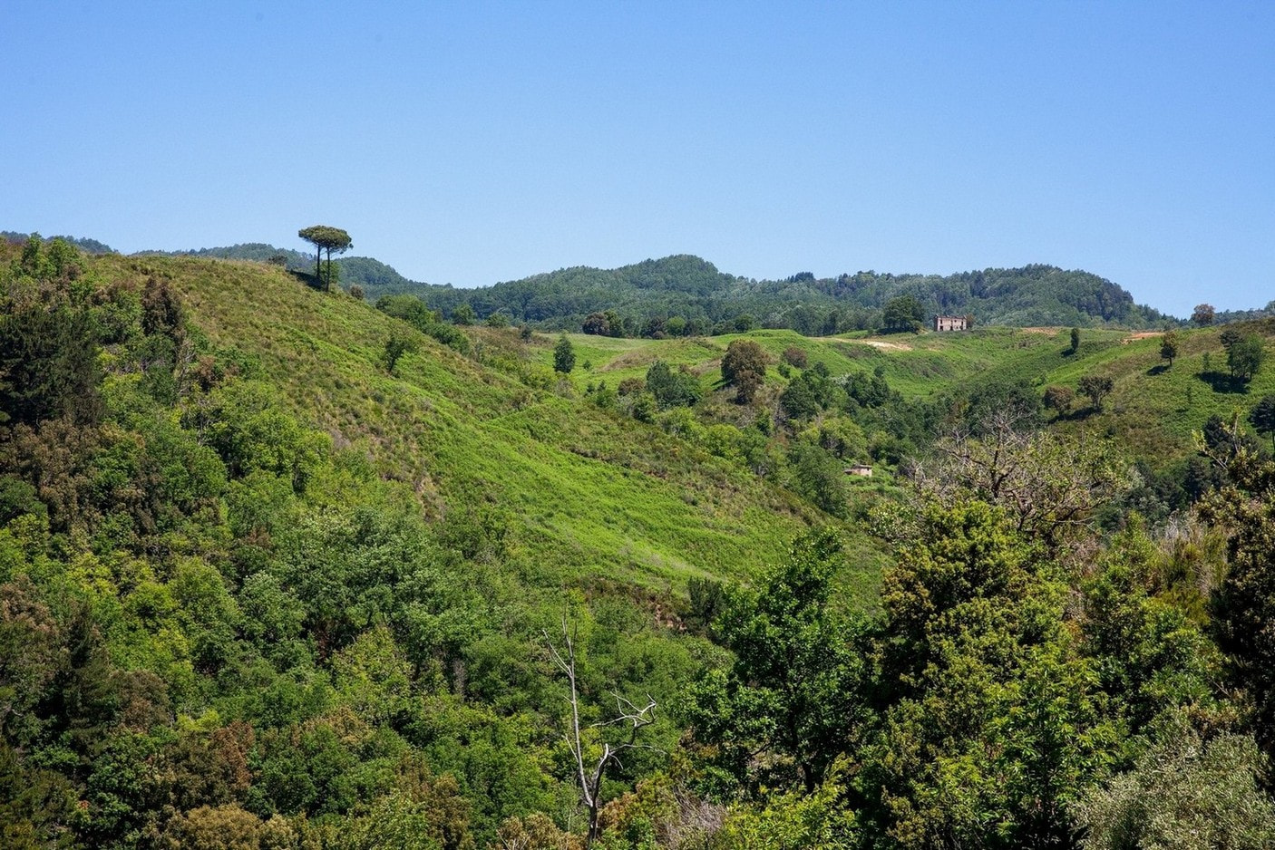 Percorso dei Mulini di Amato CZ foto Salvatore Paravati C FAI 4 - Luoghi del Cuore, il FAI finanzia il Percorso dei Mulini di Amato - 7 Percorso dei Mulini di Amato CZ foto Salvatore Paravati C FAI 4 - Meraviglie di Calabria - 6