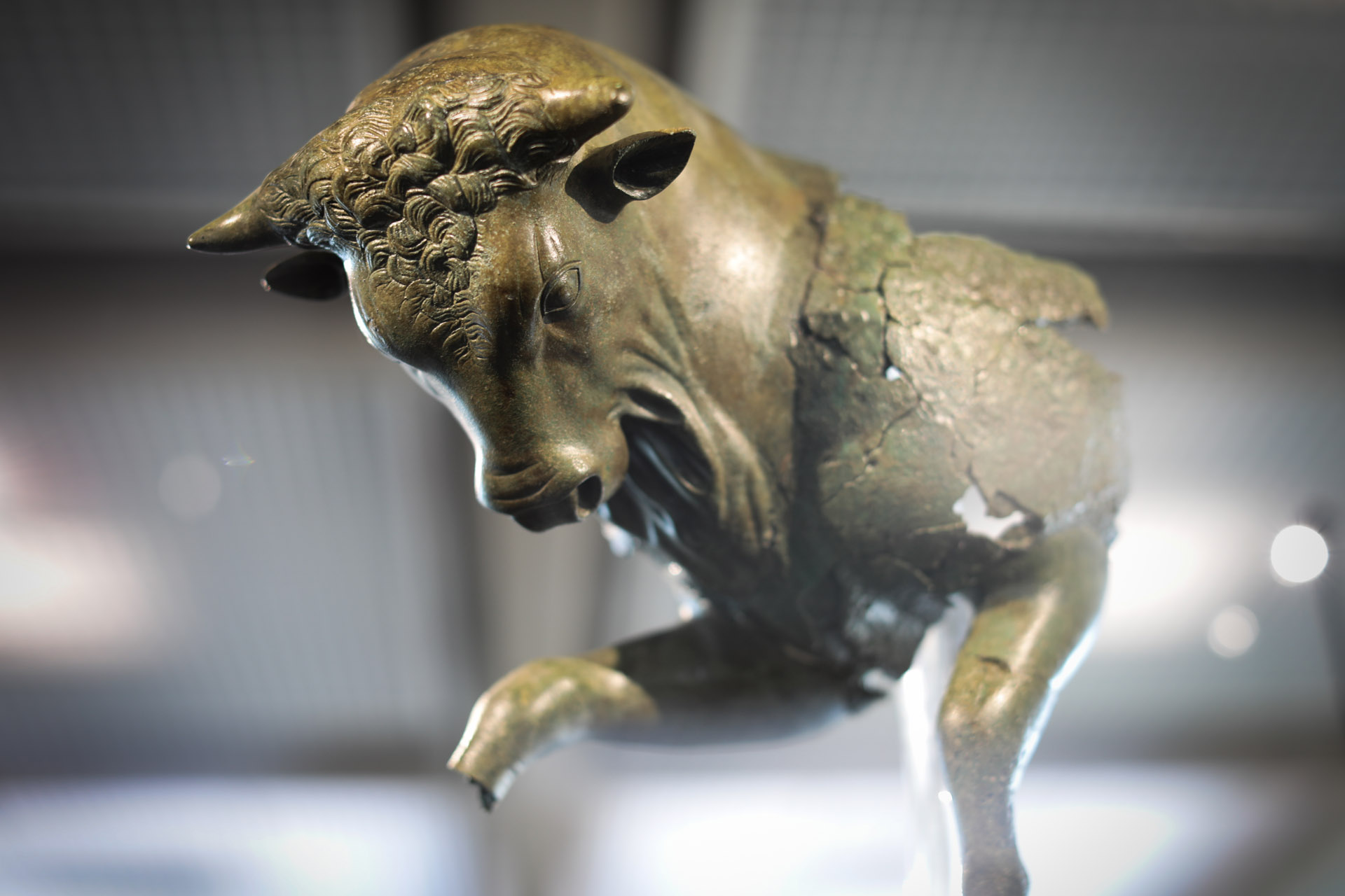 Sibari Museo Toro cozzante - Meraviglie di Calabria - 6