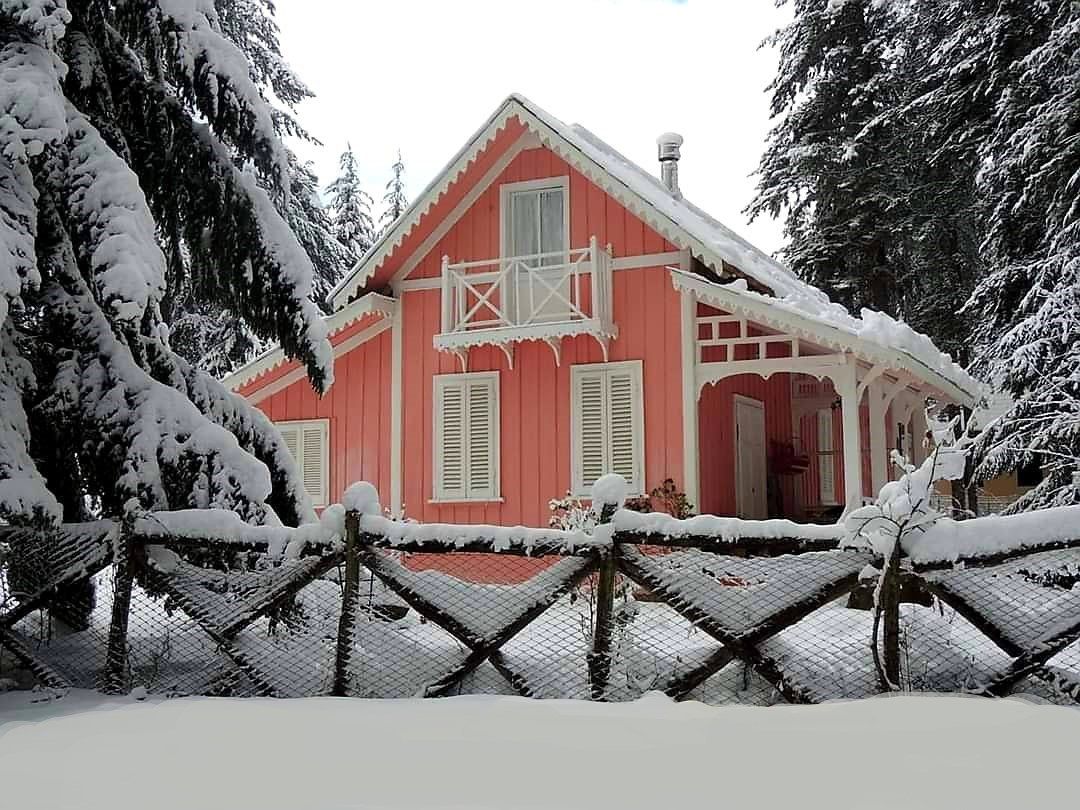 Sila Silvana Mansio - Meraviglie di Calabria - 32