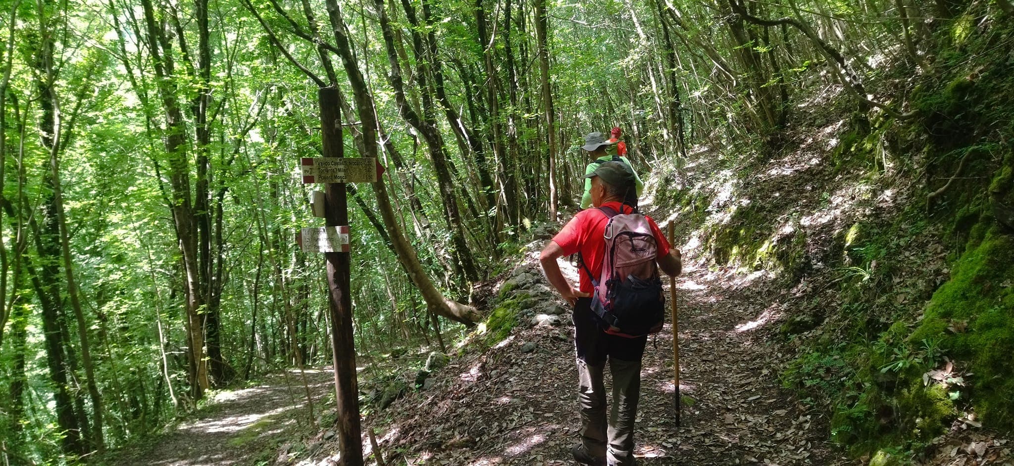 Speleologia gruppo pollino 2 - Gruppo Speleo del Pollino, un anno di lavoro su ambiente e comunità - 5 Speleologia gruppo pollino 2 - Meraviglie di Calabria - 4