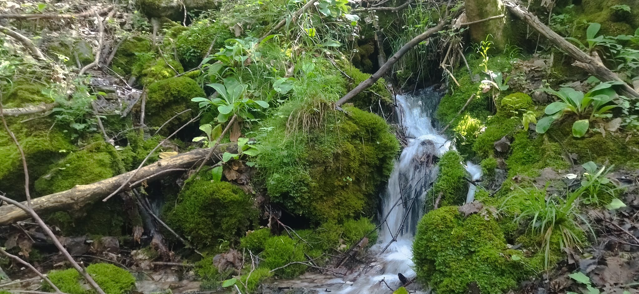 Speleologia gruppo pollino 8 - Gruppo Speleo del Pollino, un anno di lavoro su ambiente e comunità - 11 Speleologia gruppo pollino 8 - Meraviglie di Calabria - 10