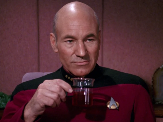 star trek picard und earl grey - Meraviglie di Calabria - 18