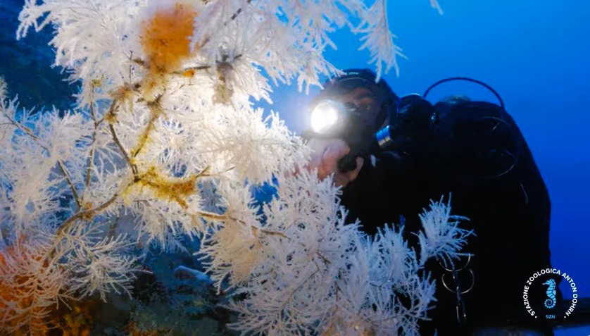 stretto di messina documentario CRIMAC 1 - Meraviglie di Calabria - 42