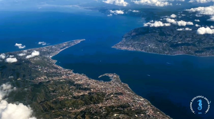 stretto di messina documentario CRIMAC 2 - Turismo subacqueo in Calabria, tra i fondali più ricchi del Mediterraneo - 35 stretto di messina documentario CRIMAC 2 - Meraviglie di Calabria - 34