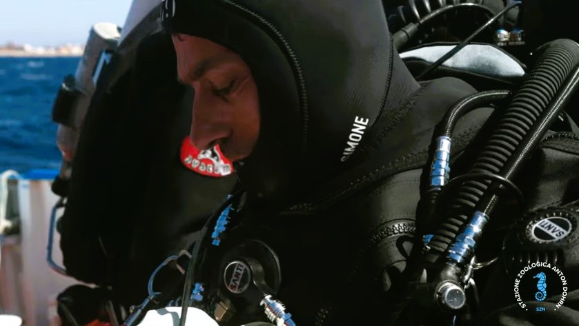 stretto di messina documentario CRIMAC 20 - Meraviglie di Calabria - 32