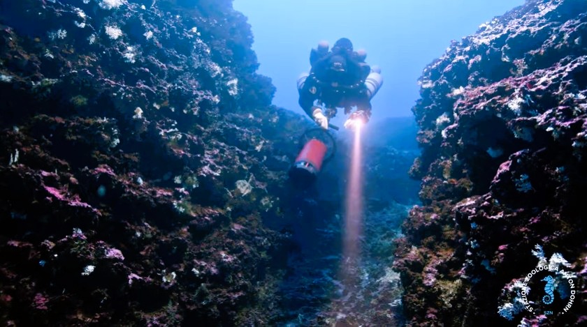 stretto di messina documentario CRIMAC 23 - Meraviglie di Calabria - 34