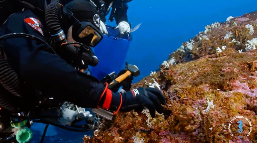 stretto di messina documentario CRIMAC 25 - Meraviglie di Calabria - 36