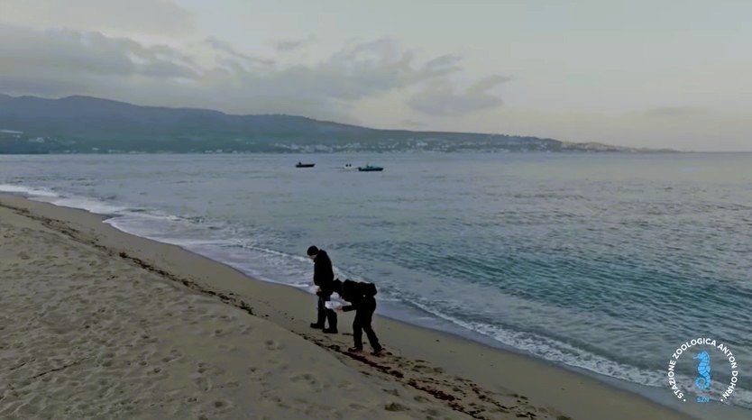 stretto di messina documentario CRIMAC 34 - Meraviglie di Calabria - 6