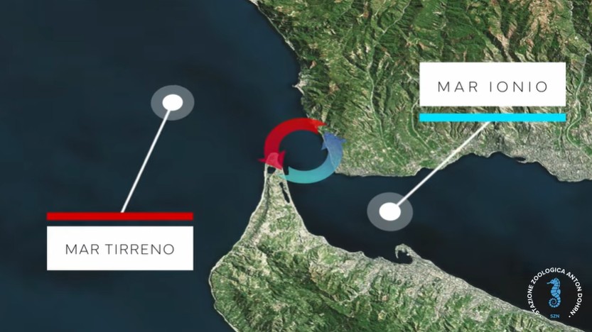 stretto di messina documentario CRIMAC 4 - Meraviglie di Calabria - 4