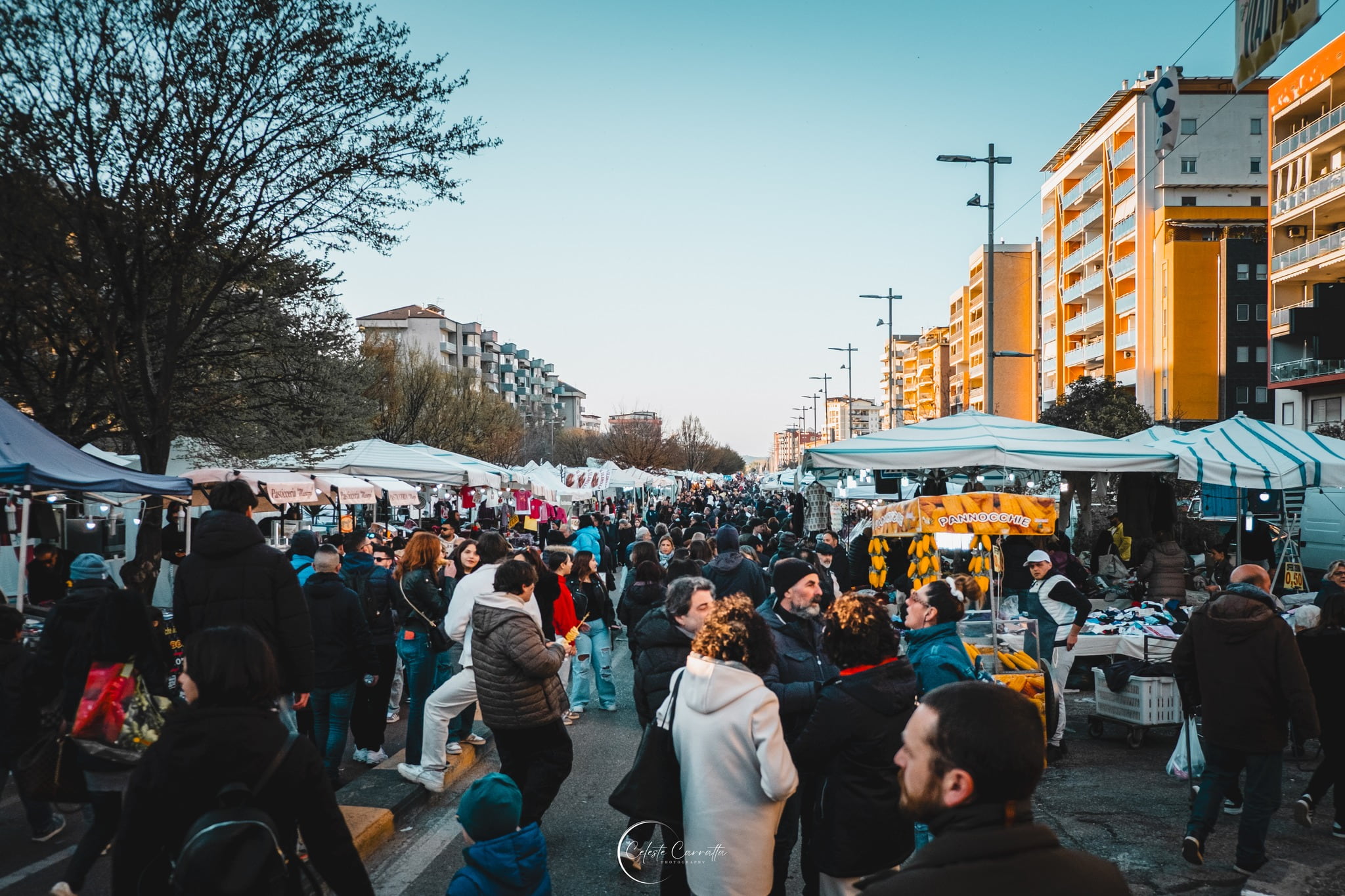 Cosenza Fiera san Giuseppe ph Celestino Carratta Foto 1 - Meraviglie di Calabria - 10