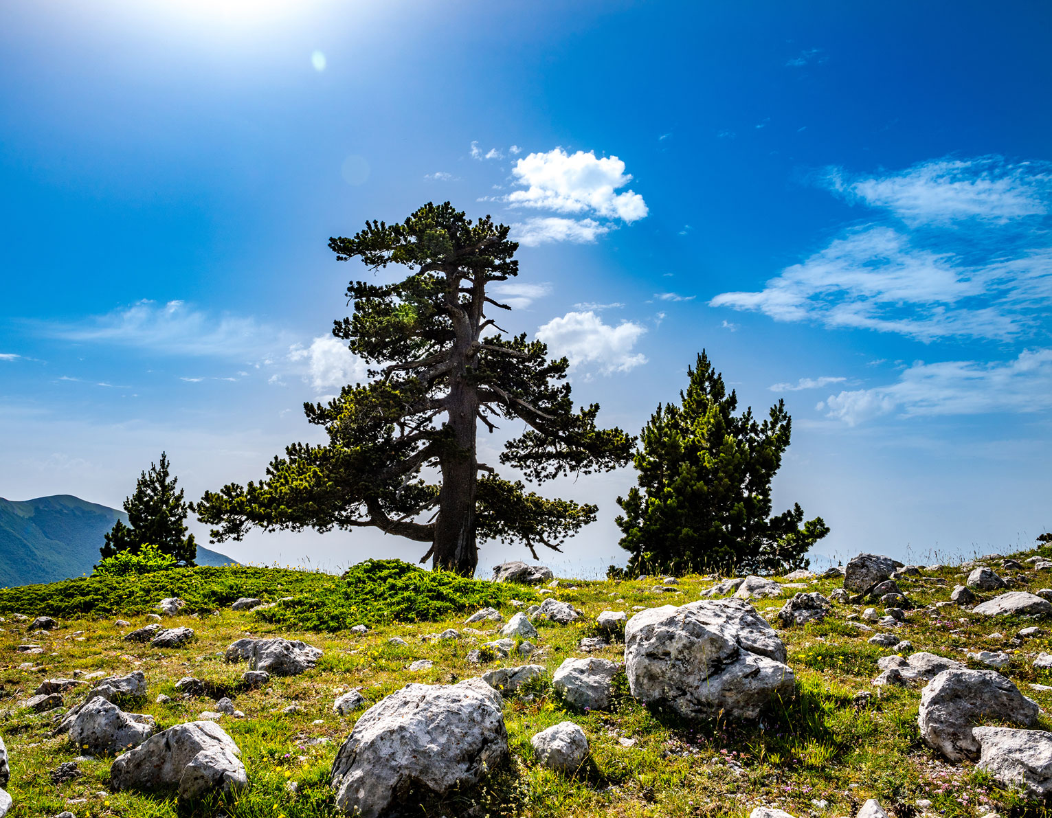 POLLINO 1 ph Calabria straordinaria - Meraviglie di Calabria - 6