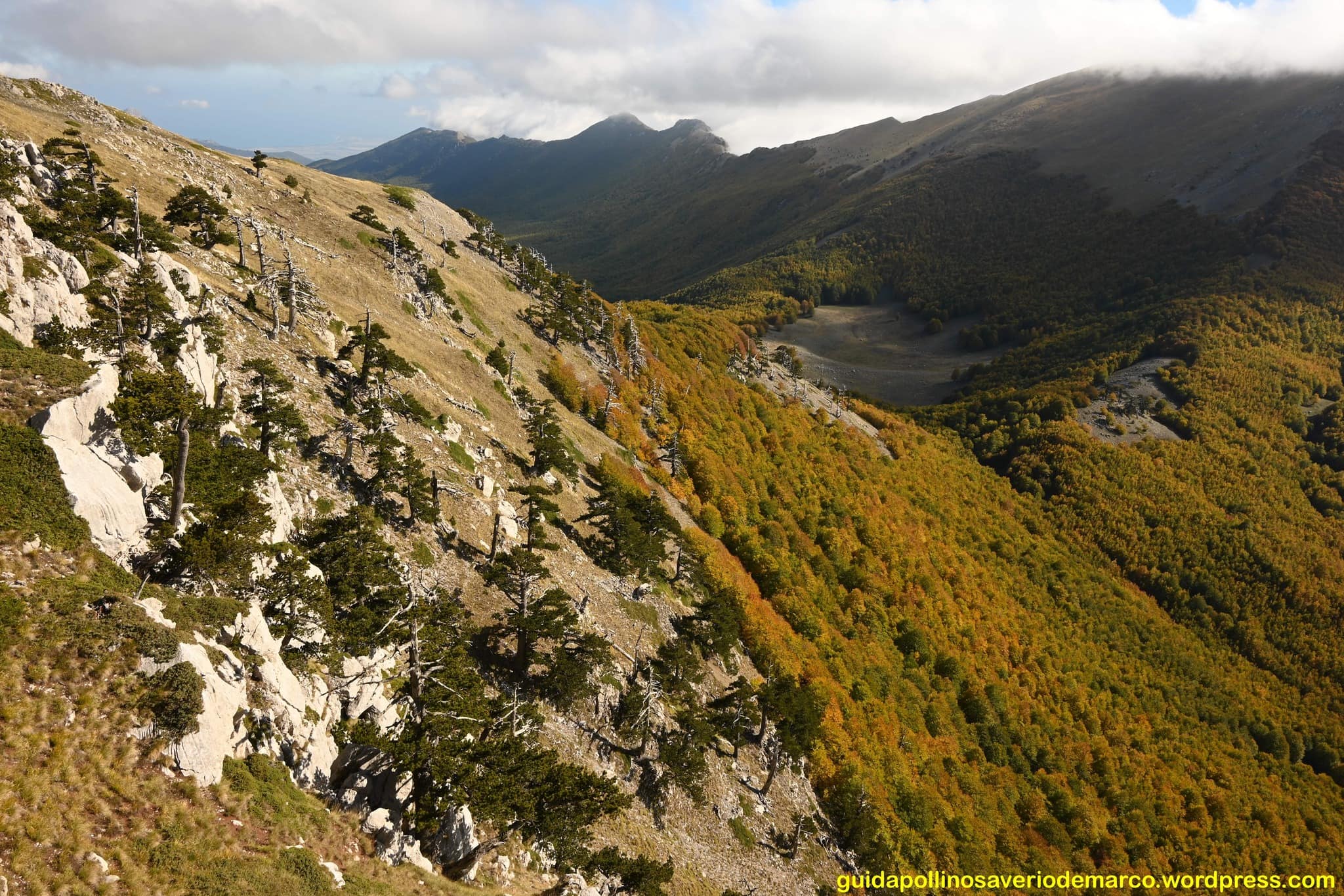Pollino serra delle ciavole ph @saverioindioguidapollino - Pollino da esplorare, un piano per la ricerca geologico-archeologica - 11 Pollino serra delle ciavole ph @saverioindioguidapollino - Meraviglie di Calabria - 10