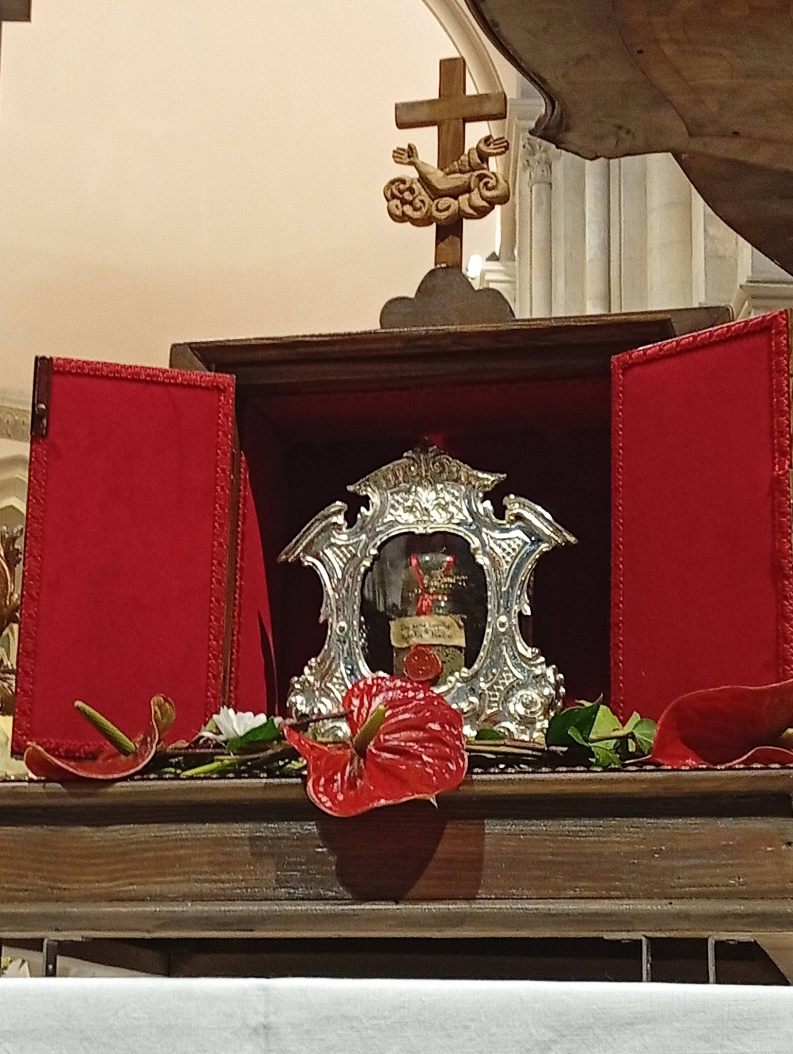 San Francesco DAssisi terra sacra del transito Casali del Manco 3 - Meraviglie di Calabria - 4