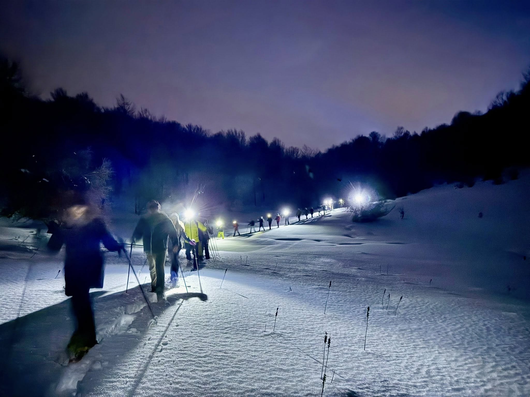 Sila neve ph Cammina Sila 14 - Meraviglie di Calabria - 20