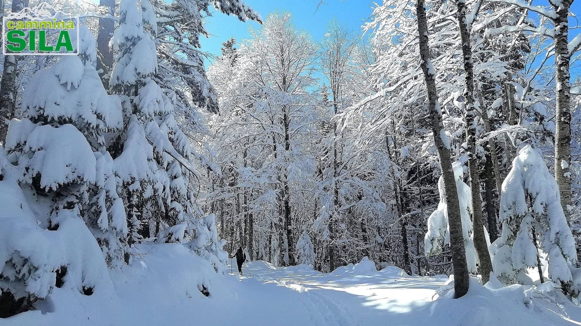 Sila neve ph Cammina Sila 16 - Meraviglie di Calabria - 2