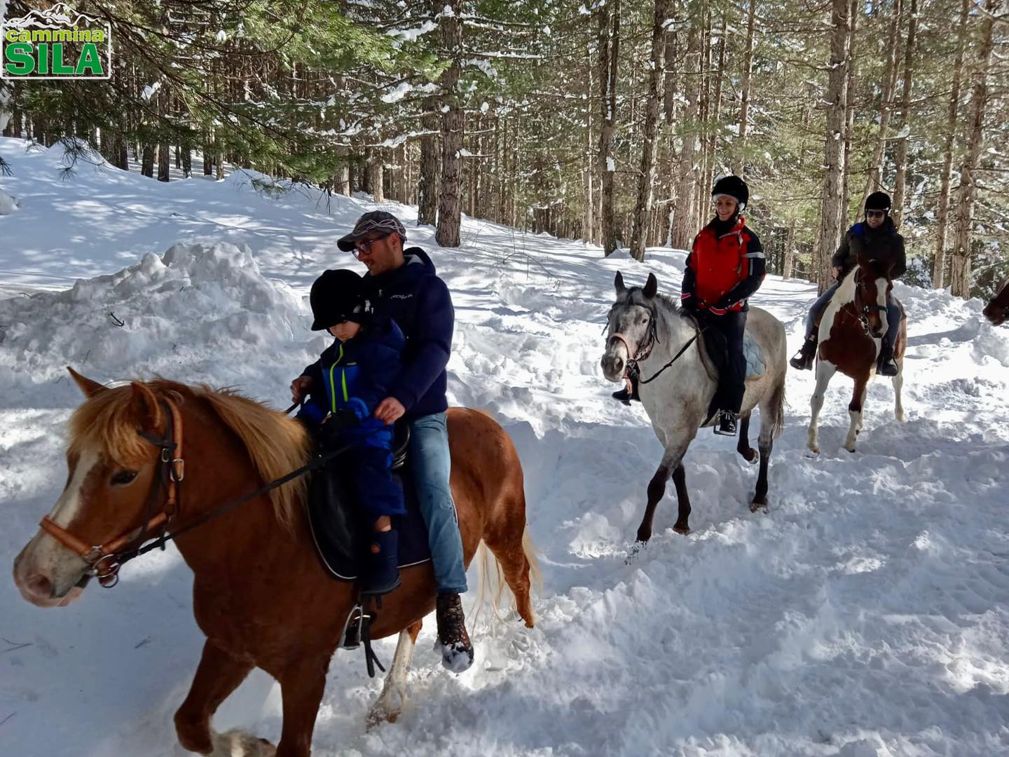 Sila neve ph Cammina Sila 25 - Meraviglie di Calabria - 26
