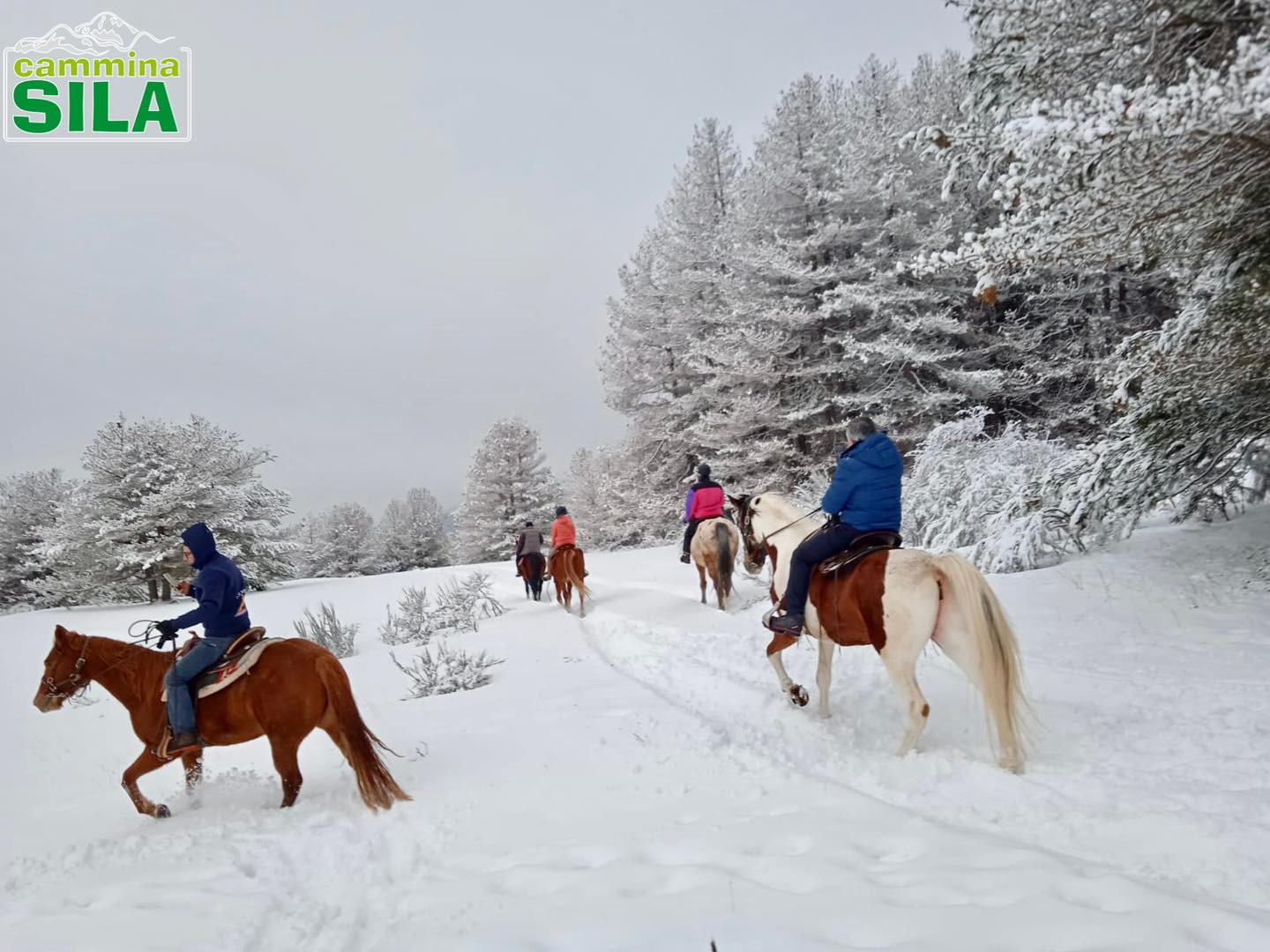 Sila neve ph Cammina Sila 26 - Meraviglie di Calabria - 24