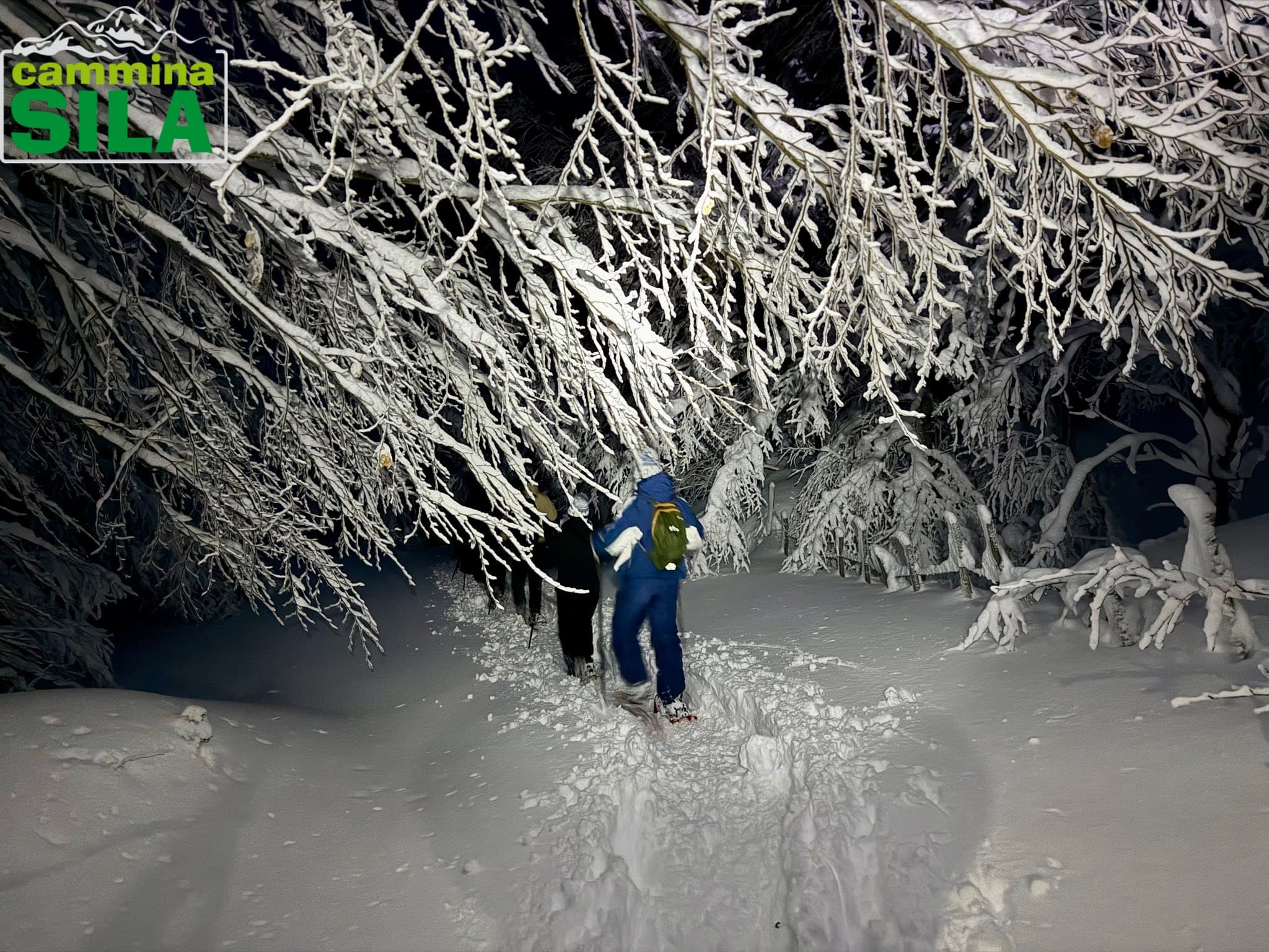 Sila neve ph Cammina Sila 6 - Meraviglie di Calabria - 22